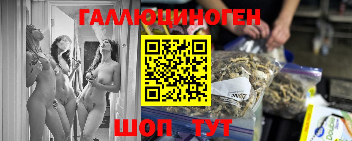 Псилоцибиновые грибы GOLDEN TEACHER Солнечногорск